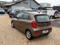Kia Picanto Attract Braun - thumbnail 2