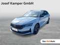Skoda Octavia Sportline TDI DSG Grau - thumbnail 1