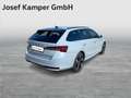 Skoda Octavia Sportline TDI DSG Grau - thumbnail 5
