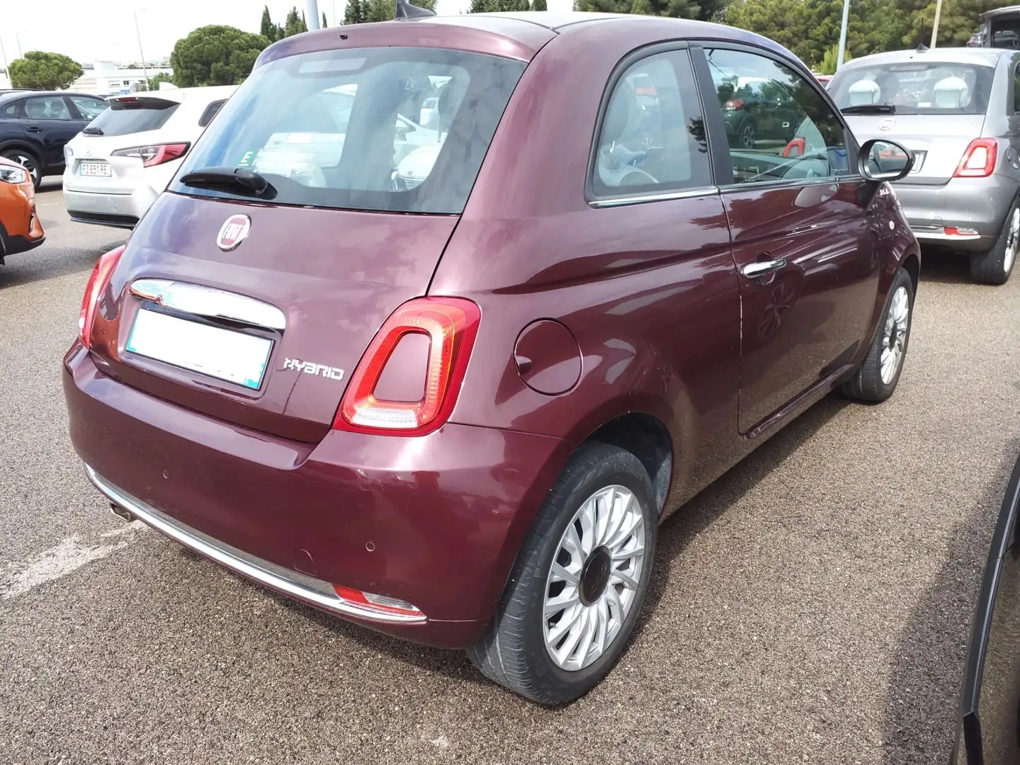Fiat 500 1.0 hybrid Dolcevita 70cv WEB EDITION Rosso - 2