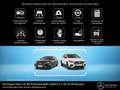 Mercedes-Benz EQA 4M PROGRESSIVE AHK TOTWINKEL WINTERPAKET Blanc - thumbnail 12