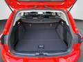 Ford Focus Turnier TITANIUM 1.5 EcoBlue D Automatik Roşu - thumbnail 13