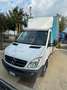 Mercedes-Benz Sprinter Bianco - thumbnail 3