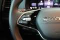 Skoda Karoq 1.5 DSG AHK StHz Kamera Gris - thumbnail 11