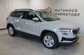 Skoda Karoq 1.5 DSG AHK StHz Kamera Gris - thumbnail 6
