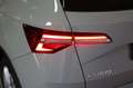 Skoda Karoq 1.5 DSG AHK StHz Kamera Gris - thumbnail 20