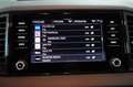 Skoda Karoq 1.5 DSG AHK StHz Kamera Gris - thumbnail 14