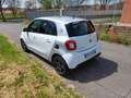 smart forFour Forfour II 2015 electric drive Passion Bianco - thumbnail 3