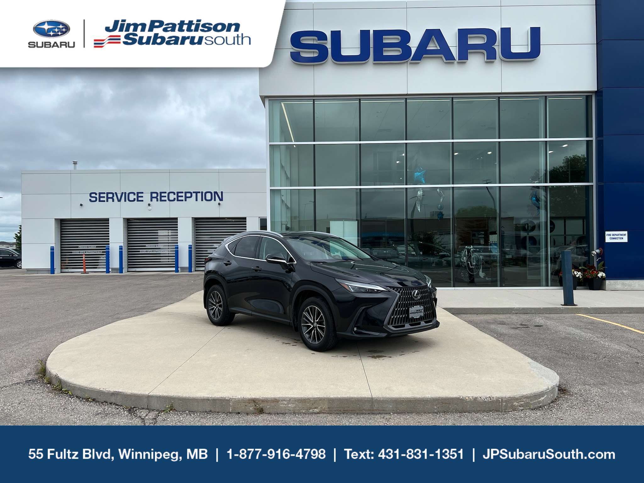 2025 Lexus NX 250 AWD