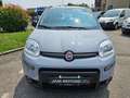 Fiat Panda 1.0 FireFly S&S Hybrid City Life Grigio - thumbnail 5