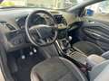 Ford Kuga 1.5 TDCI 120 CV S&S 2WD ST-Line Grigio - thumbnail 6