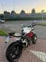 MV Agusta Brutale 800 Blanc - thumbnail 2