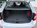 Skoda Octavia Style Weiß - thumbnail 12