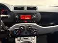 Fiat Panda 1.2 Easy Komfort-Paket Winterräder Blanco - thumbnail 12