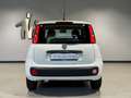 Fiat Panda 1.2 Easy Komfort-Paket Winterräder Blanco - thumbnail 5