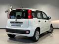 Fiat Panda 1.2 Easy Komfort-Paket Winterräder Blanco - thumbnail 4