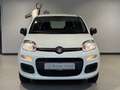 Fiat Panda 1.2 Easy Komfort-Paket Winterräder Blanco - thumbnail 2