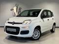 Fiat Panda 1.2 Easy Komfort-Paket Winterräder Blanco - thumbnail 3