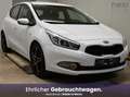 Kia Ceed / cee'd Edition 7 | 1.Hand | Guter Zustand | Pickerl Neu Weiß - thumbnail 1