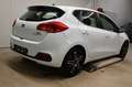 Kia Ceed / cee'd Edition 7 | 1.Hand | Guter Zustand | Pickerl Neu Weiß - thumbnail 8