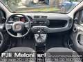 Fiat Panda Panda III 2021 1.0 firefly hybrid - Pochi km! Grigio - thumbnail 8