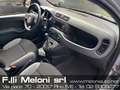 Fiat Panda Panda III 2021 1.0 firefly hybrid - Pochi km! Grigio - thumbnail 9