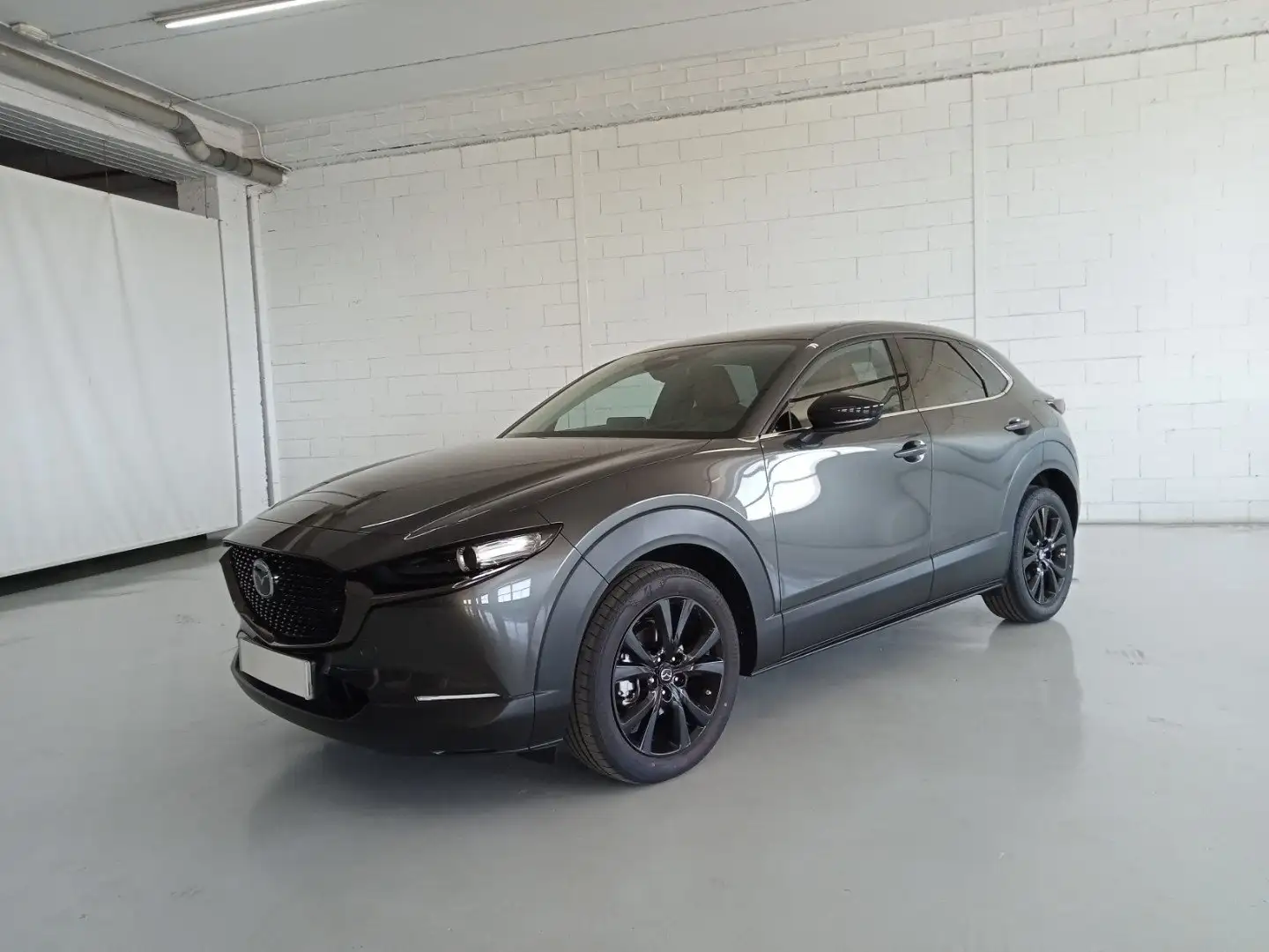 Mazda CX-30 2.0 e-Skyactiv-G Nagisa FWD 110kW Gris - 1