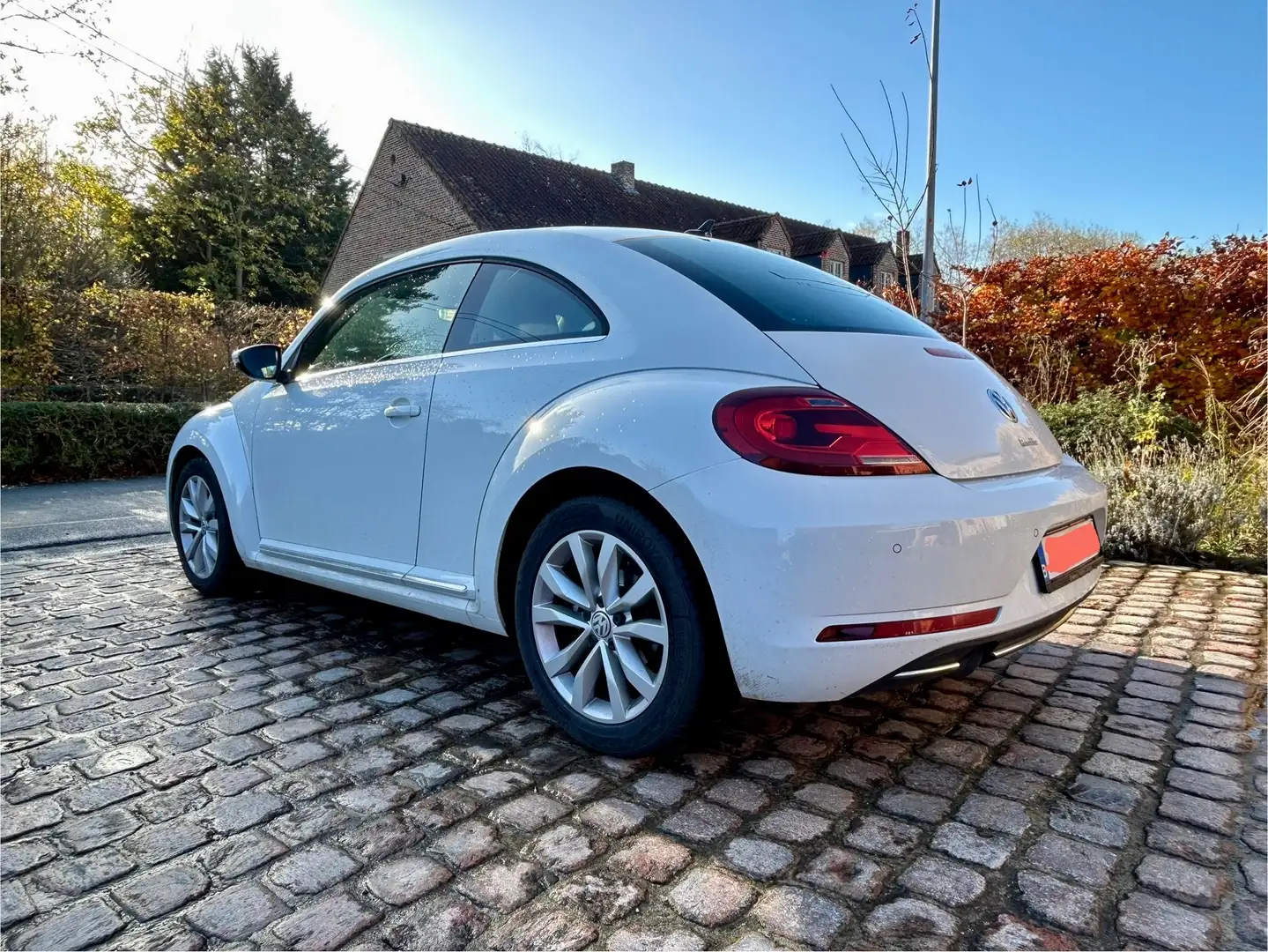 Volkswagen Beetle The Beetle 1.2 TSI Blue Motion Technologie Wit - 2