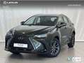 Lexus NX 300h 350h Business City 4WD Verde - thumbnail 1