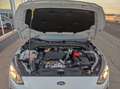 Ford Focus 1.5 TDCi 120 CV Start&Stop Plus Blanco - thumbnail 16