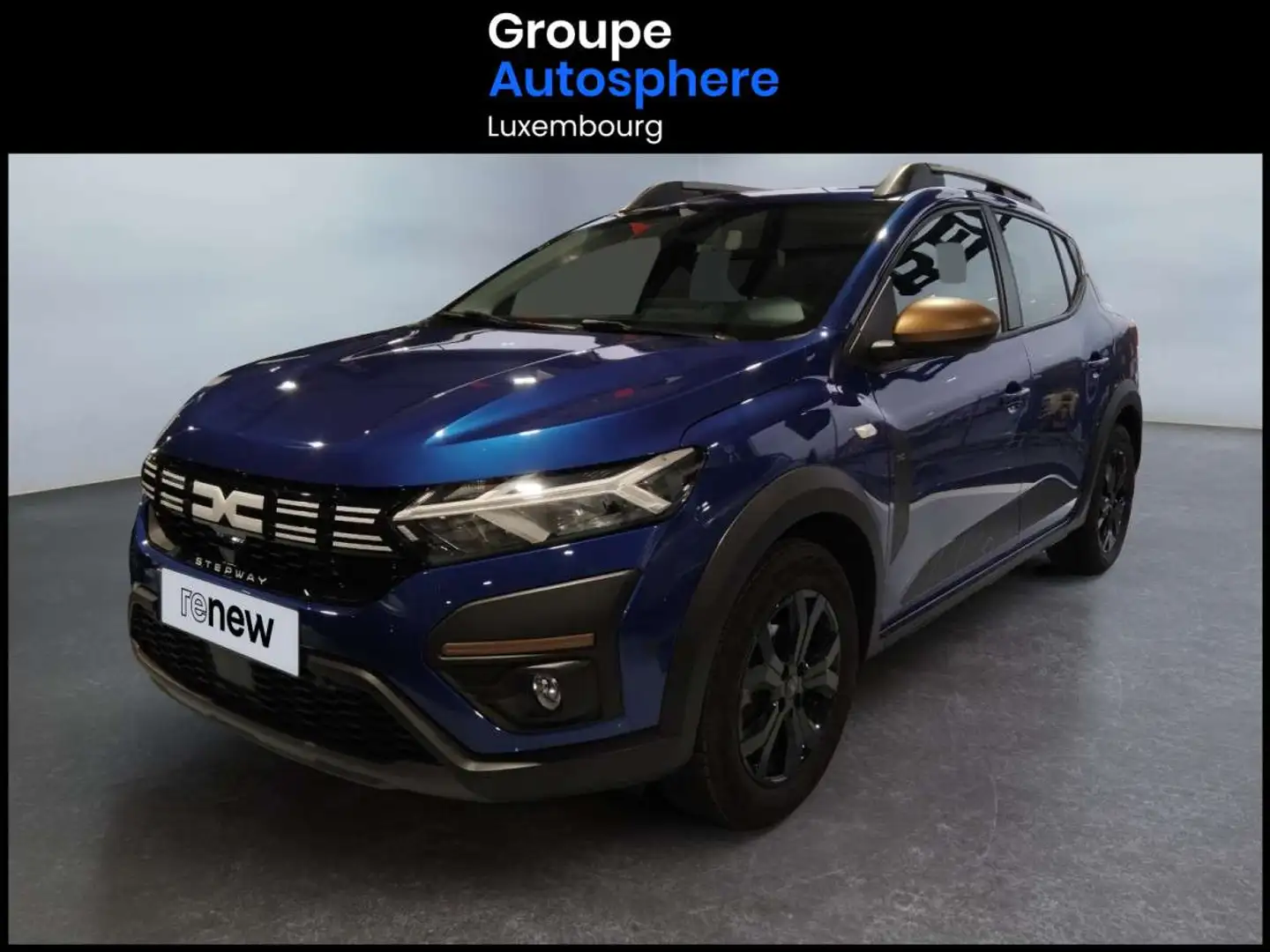 Dacia Sandero 1.0 Tce Stepway Extrême TCE 90 Bleu - 1
