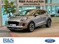 Ford Puma Titanium+Kamera+Navi+Winter-P.+Tempo Argent - thumbnail 1