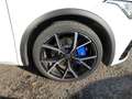 Volkswagen Tiguan R *Sonderleasing* PANO 360° LM21 Pano 360 Weiß - thumbnail 7