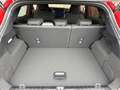 Ford Puma ST-LINE 1.0T 125PS MHEV Automatik Rot - thumbnail 18