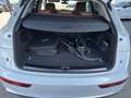 Audi Q5 55 TFSI e PHEV quattro S-line Weiß - thumbnail 15