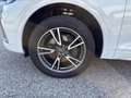 Audi Q5 55 TFSI e PHEV quattro S-line Weiß - thumbnail 7