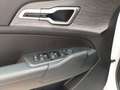 Kia Sportage 1.6 T-GDi MHEV 110kW (150CV) Drive 4x2 Blanc - thumbnail 31