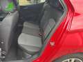 Skoda Fabia 1.0 TSI DSG Ambition KLIMA+TEMPOMAT+BLUETO Rot - thumbnail 14