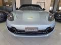 Porsche Panamera 10 Years Edition 2.9 4 E-Hybrid PHEV Grau - thumbnail 2
