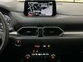 Mazda CX-5 G165 EDITIO Cam SHZ Park-Assist Rot - thumbnail 9