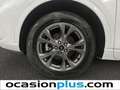 Ford Kuga 2.5 Duratec PHEV ST-Line 4x2 Blanco - thumbnail 35