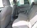 SEAT Ibiza Style IBIZA 1.0 TSI Road Edition 95 PS Blau - thumbnail 8