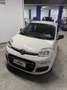 Fiat Panda 1.2 Pop 69cv E6 Beige - thumbnail 7