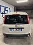 Fiat Panda 1.2 Pop 69cv E6 Beige - thumbnail 5