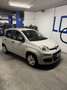 Fiat Panda 1.2 Pop 69cv E6 Beige - thumbnail 3