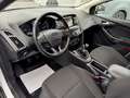 Ford Focus Focus 1.5 TDCi Business Class*12 MOIS DE GARANTIE* Weiß - thumbnail 13