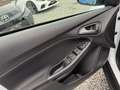 Ford Focus Focus 1.5 TDCi Business Class*12 MOIS DE GARANTIE* Weiß - thumbnail 14