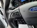 Ford Focus Focus 1.5 TDCi Business Class*12 MOIS DE GARANTIE* Weiß - thumbnail 19