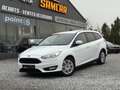 Ford Focus Focus 1.5 TDCi Business Class*12 MOIS DE GARANTIE* Weiß - thumbnail 1