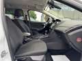 Ford Focus Focus 1.5 TDCi Business Class*12 MOIS DE GARANTIE* Weiß - thumbnail 8